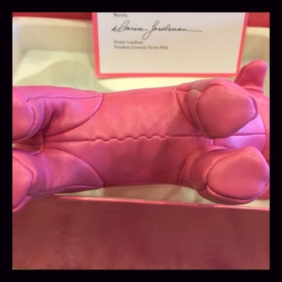 Rare Victorias Secret Pink Employee Exclusive Billion Dollar Dog - Picture 9 of 15